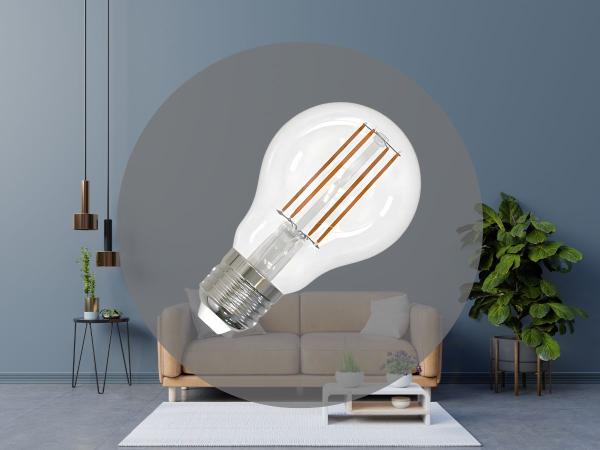 LED žárovka / filament 7,5W - A60 / E27 / 4000K - ZLF522D