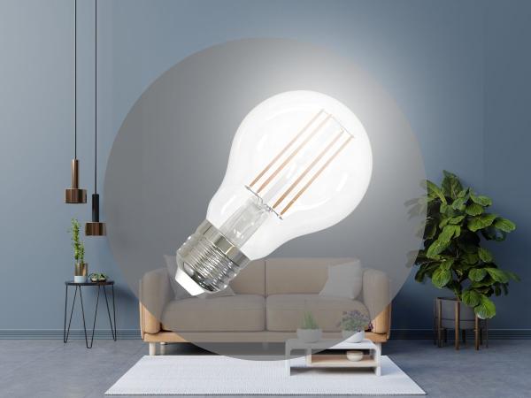 LED žárovka / filament 7,5W - A60 / E27 / 4000K - ZLF522D 1