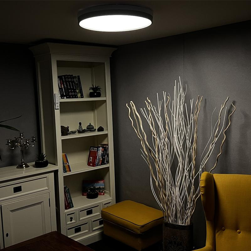 LED stropní svítidlo OPAL + dálkové ovládání + Wifi 48W - LC902I 8