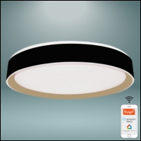 SMART Light (Wifi/Bt)